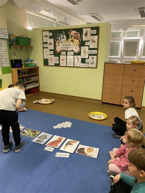 Misie: Marzec 2026 - Zdjęcie 5