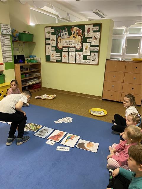 Misie: Marzec 2026 - Zdjęcie 6