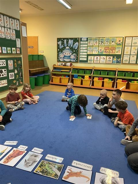 Misie: Marzec 2026 - Zdjęcie 9