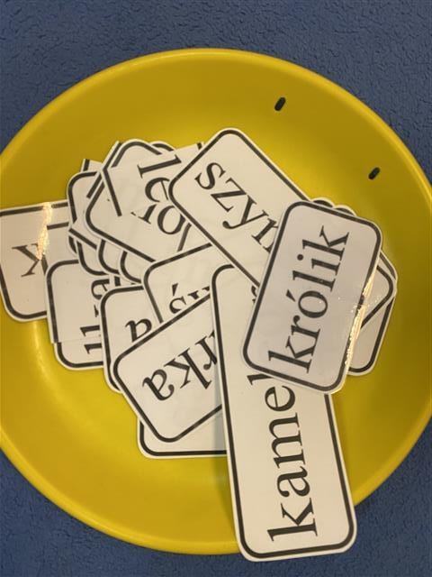 Misie: Marzec 2026 - Zdjęcie 11