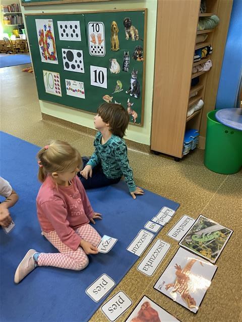 Misie: Marzec 2026 - Zdjęcie 18