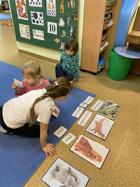 Misie: Marzec 2026 - Zdjęcie 19