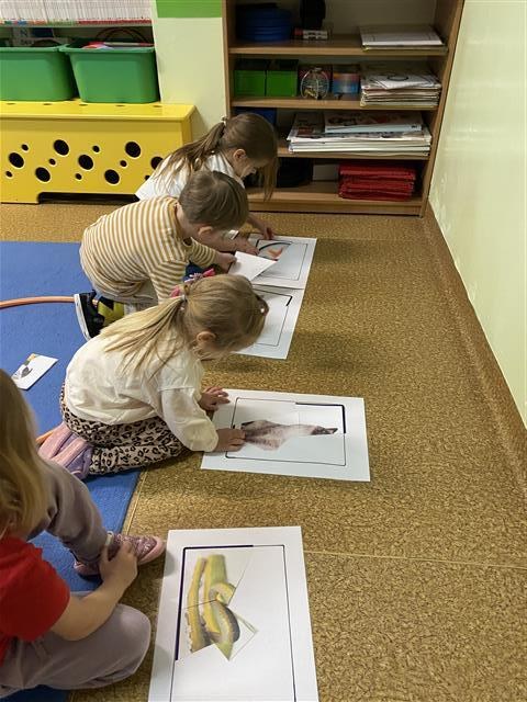 Misie: Marzec 2026 - Zdjęcie 22