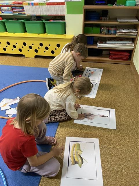 Misie: Marzec 2026 - Zdjęcie 23