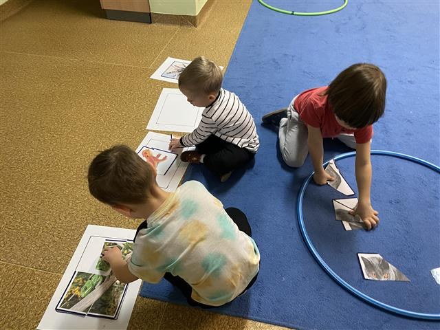 Misie: Marzec 2026 - Zdjęcie 24