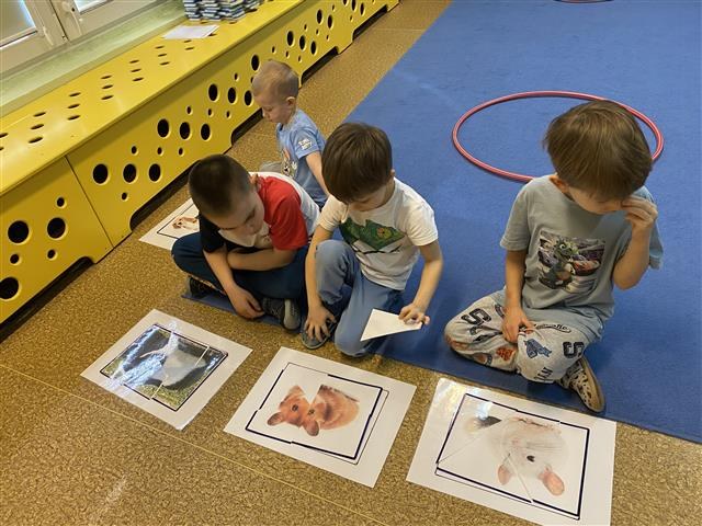 Misie: Marzec 2026 - Zdjęcie 25