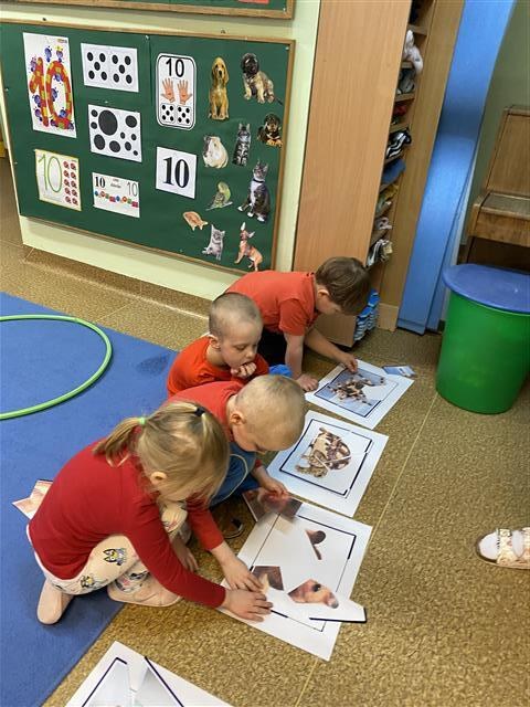 Misie: Marzec 2026 - Zdjęcie 26