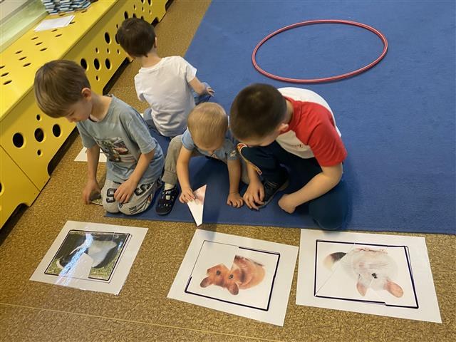 Misie: Marzec 2026 - Zdjęcie 28