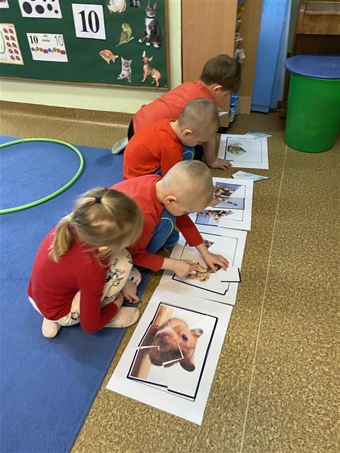 Misie: Marzec 2026 - Zdjęcie 29