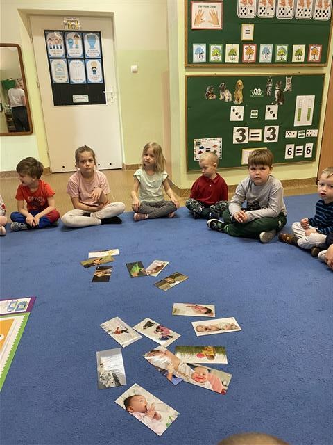 Misie: Marzec 2026 - Zdjęcie 45