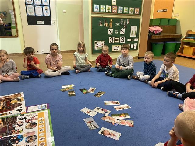 Misie: Marzec 2026 - Zdjęcie 46