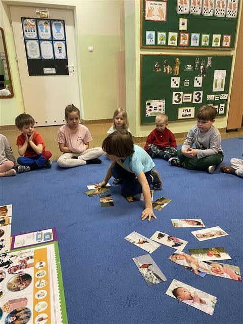 Misie: Marzec 2026 - Zdjęcie 47