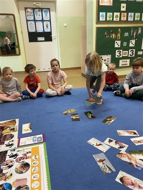 Misie: Marzec 2026 - Zdjęcie 48