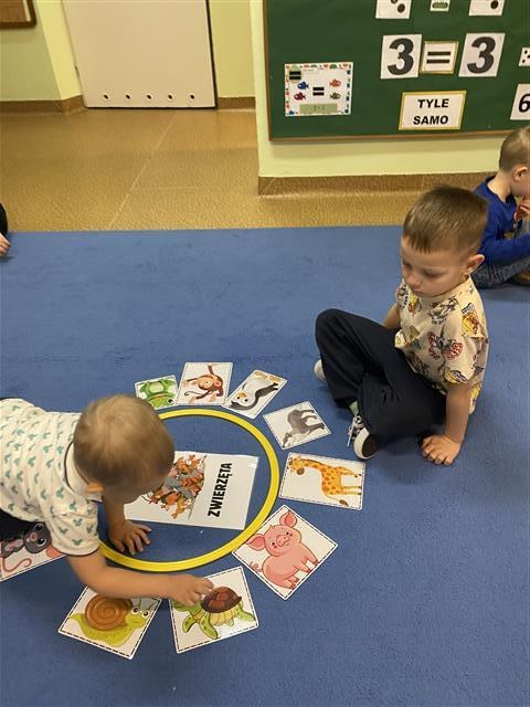 Misie: Marzec 2026 - Zdjęcie 79