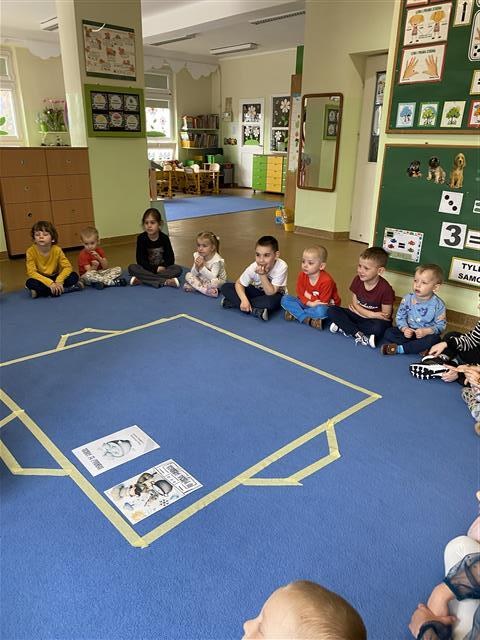 Misie: Marzec 2026 - Zdjęcie 91