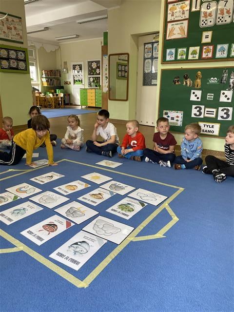 Misie: Marzec 2026 - Zdjęcie 100