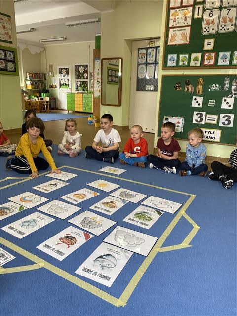 Misie: Marzec 2026 - Zdjęcie 101