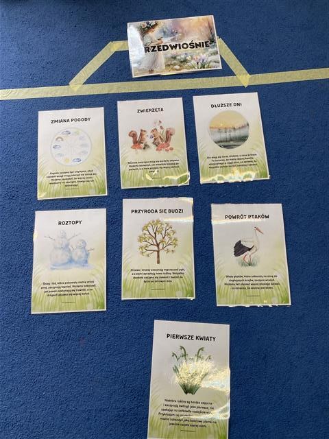 Misie: Marzec 2026 - Zdjęcie 104