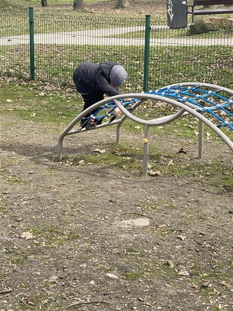 Misie: Marzec 2026 - Zdjęcie 184