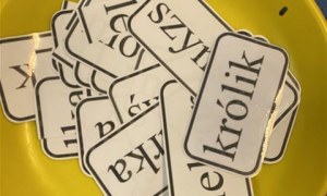 Misie: Marzec 2026 - Zdjęcie 11