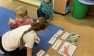 Misie: Marzec 2026 - Zdjęcie 19