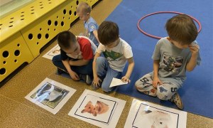 Misie: Marzec 2026 - Zdjęcie 25