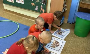 Misie: Marzec 2026 - Zdjęcie 26