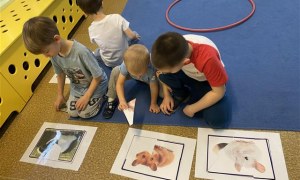 Misie: Marzec 2026 - Zdjęcie 28