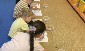 Misie: Marzec 2026 - Zdjęcie 39