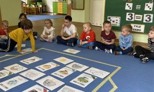 Misie: Marzec 2026 - Zdjęcie 100