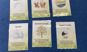 Misie: Marzec 2026 - Zdjęcie 104