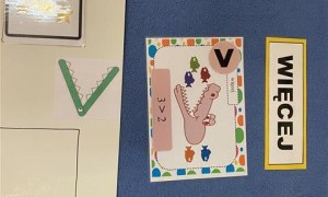 Misie: Marzec 2026 - Zdjęcie 116