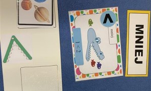 Misie: Marzec 2026 - Zdjęcie 117