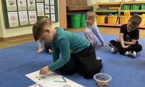 Misie: Marzec 2026 - Zdjęcie 125