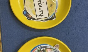 Misie: Marzec 2026 - Zdjęcie 136