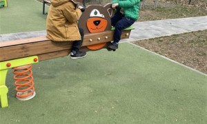 Misie: Marzec 2026 - Zdjęcie 175