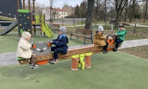 Misie: Marzec 2026 - Zdjęcie 176