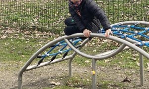 Misie: Marzec 2026 - Zdjęcie 183