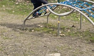 Misie: Marzec 2026 - Zdjęcie 184