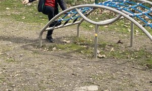 Misie: Marzec 2026 - Zdjęcie 185