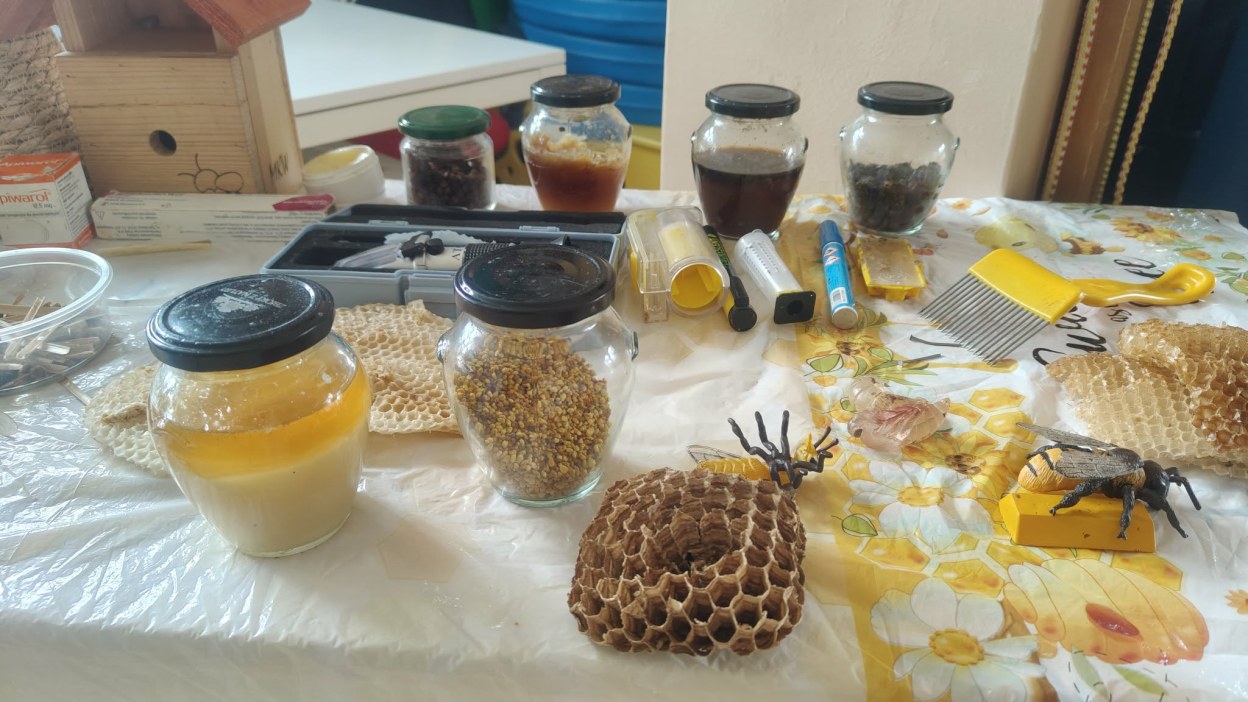 Warsztaty Pszczelarskie - Zdjęcie 14