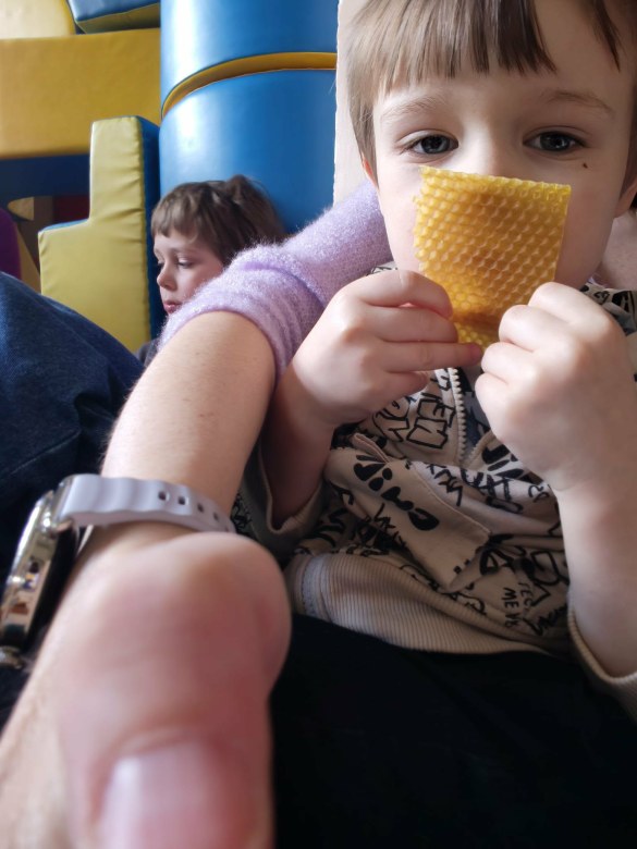 Warsztaty Pszczelarskie - Zdjęcie 12