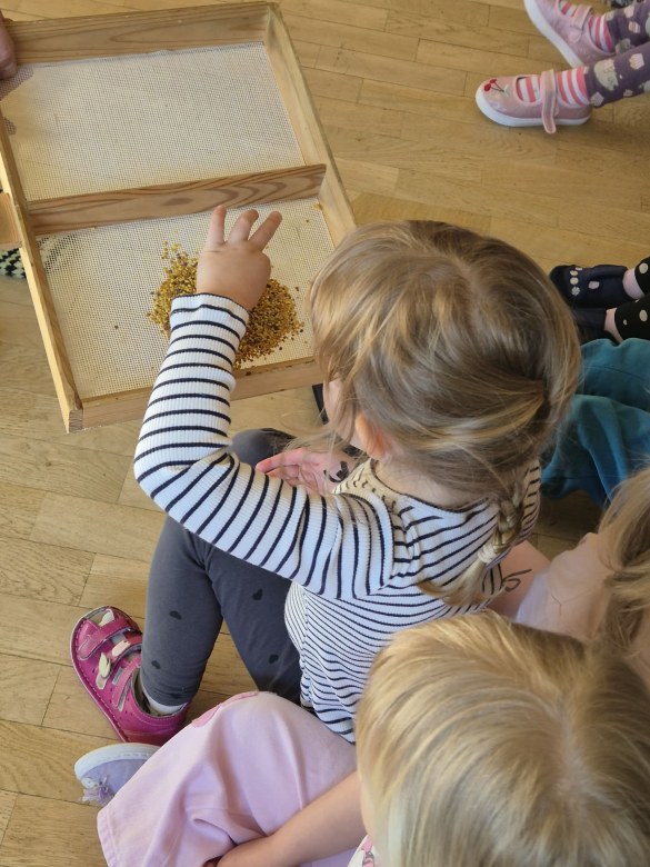 Warsztaty Pszczelarskie - Zdjęcie 25