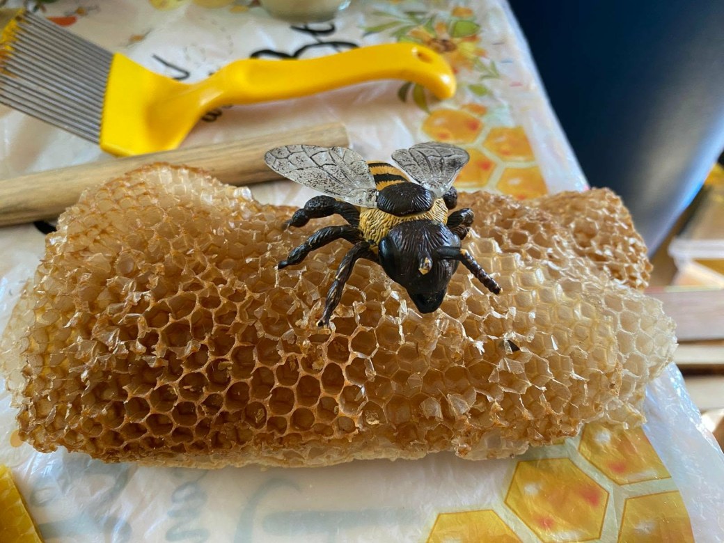 Warsztaty Pszczelarskie - Zdjęcie 47