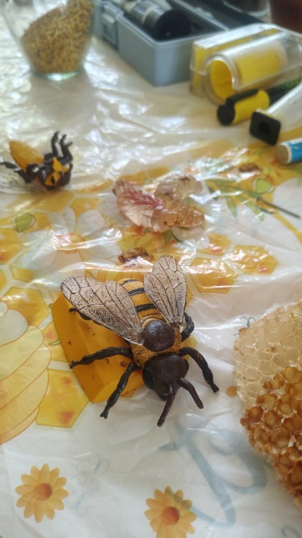 Warsztaty Pszczelarskie - Zdjęcie 94