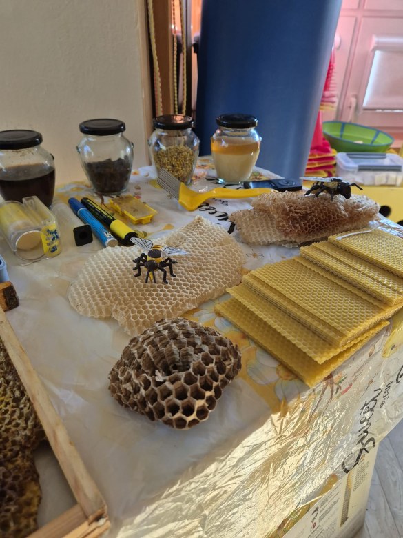Warsztaty Pszczelarskie - Zdjęcie 150