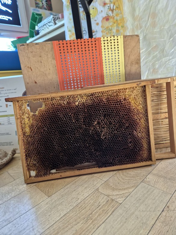 Warsztaty Pszczelarskie - Zdjęcie 106