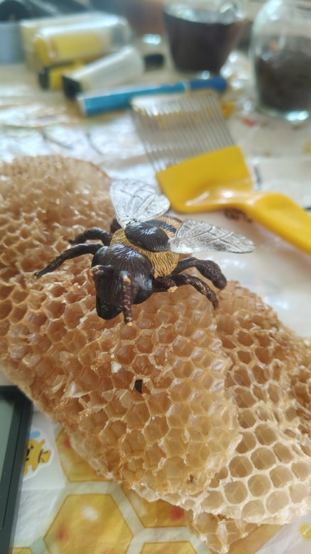 Warsztaty Pszczelarskie - Zdjęcie 174