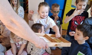 Warsztaty Pszczelarskie - Zdjęcie 8