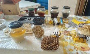 Warsztaty Pszczelarskie - Zdjęcie 14